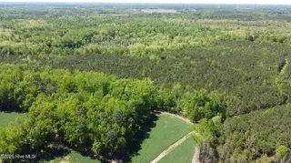 Off Speights Chapel Road, Whitakers, NC 27891 – photo 6: DJI_0574