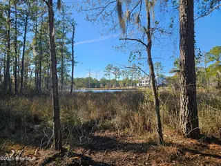 47 Sunset Point Road, Belhaven, NC 27810 – photo 6: 20251209_141442
