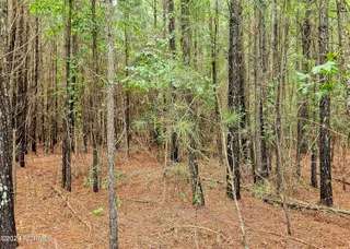 11 11 Bradford Court, Belhaven, NC 27810 – photo 4: 20240718_122138b