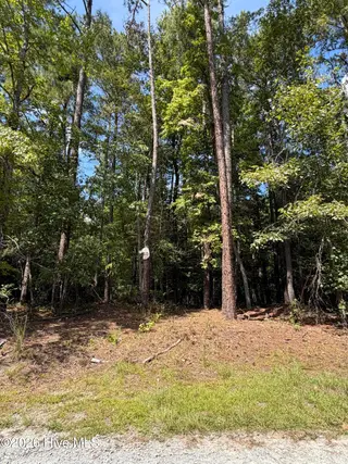 1d Gelding Gap Lane, Carthage, NC 28327 – photo 4: IMG_2197