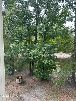 2593 Croomsbridge Road, Burgaw, NC 28425 – photo 19: IMG_1213