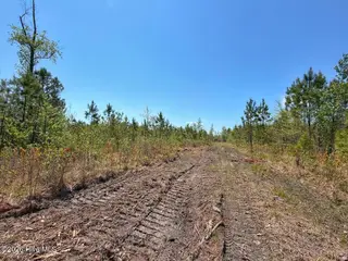 0 6 Guinea Mill Road, Ernul, NC 28527 – photo 16: 16