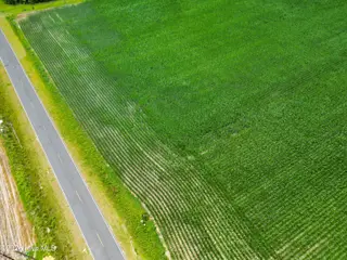 Tbd Farmers Union Road, Clarkton, NC 28433 – photo 13: ClarktonListing_MLS-8