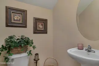 307 Stella Bridgeway Drive, Stella, NC 28582 – photo 18: Downstairs Bathroom