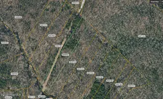 Lot 4 Leaman Road, Robbins, NC 27325 – photo 4: Screenshot_4-3-2026_204234_gis.moorecoun