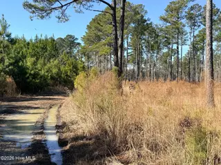 0 Sr 1119 Off, Chocowinity, NC 27817 – photo 4: Road to Lot
