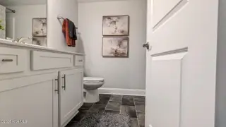 425 Sweet Potato Lane Lot 14, Nashville, NC 27856 – photo 11: guest bathroom 3-franklinton