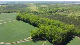 Off Speights Chapel Road, Whitakers, NC 27891 – photo 5: DJI_0573