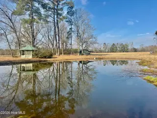 0 Near 4635 Hallsboro Road N, Clarkton, NC 28433 – photo 8: CPS 8