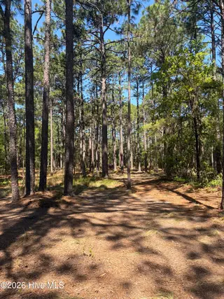 5324 Us 1 Highway, Vass, NC 28394 – photo 21: IMG_0094