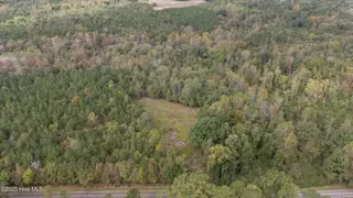 1435 Pineywood Church Road, Cameron, NC 28326 – photo 8: 1435 Pineywood Church Road