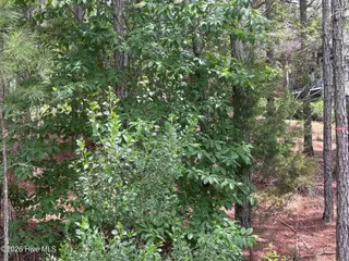 111 Callis Circle, West End, NC 27376 – photo 15: IMG_4817 2