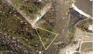 133 Cedarwood, Havelock, NC 28532 – photo 1: 133 Cedarwood GIS Topo