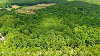 109 5 Equestrian Lane, Carthage, NC 28327 – photo 3: 3-web-or-mls-DJI_20260709142230_0630_D