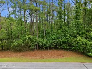 199 Live Oak Lane, Washington, NC 27889 – photo 3: 2-web-or-mls-DJI_20260501095214_0018_D