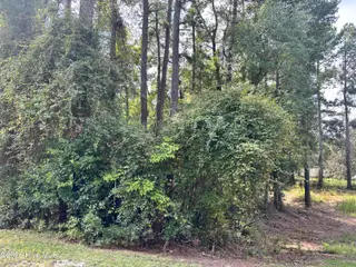 16 A 16A Point Caswell Road, Atkinson, NC 28421 — lot, Atkinson, NC, photo 1 of 2: 16 A Point Caswell Road
