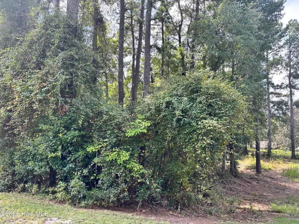 16 A 16A Point Caswell Road, Atkinson, NC 28421 — lot, Atkinson, NC, photo 1 of 2: 16 A Point Caswell Road
