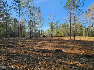 47 Sunset Point Road, Belhaven, NC 27810 – photo 11: 20251209_141917