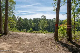 Tbd Dunhams Creek Lane, Carthage, NC 28327 — lot, Carthage, NC, photo 18 of 22