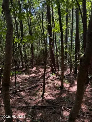 Lot 1 Dan Road, Robbins, NC 27325 – photo 16: 15