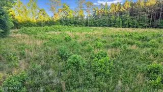0 Pendergrass Drive, Princeton, NC 27569 – photo 12: 20-Quarterhorse Rd-20