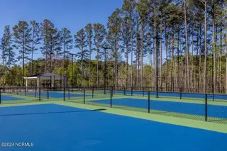 2731 Silverweed Court 99, Leland, NC 28479 – photo 19: lifestyle 12