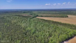 0 7 Guinea Mill Road, Ernul, NC 28527 – photo 7: 7