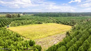 795 Pollard Swamp Road, Vanceboro, NC 28586 – photo 23: 23-print-Screenshot 2026-08-28 at 10.30.