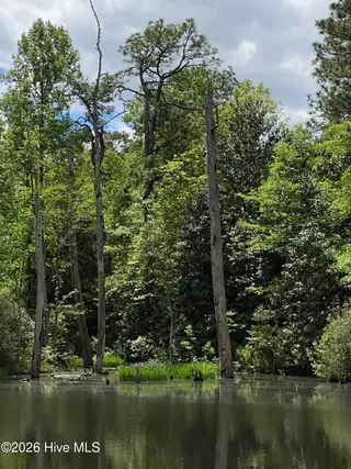 4 Augusta Way, Pinehurst, NC 28374 – photo 21: IMG_1341
