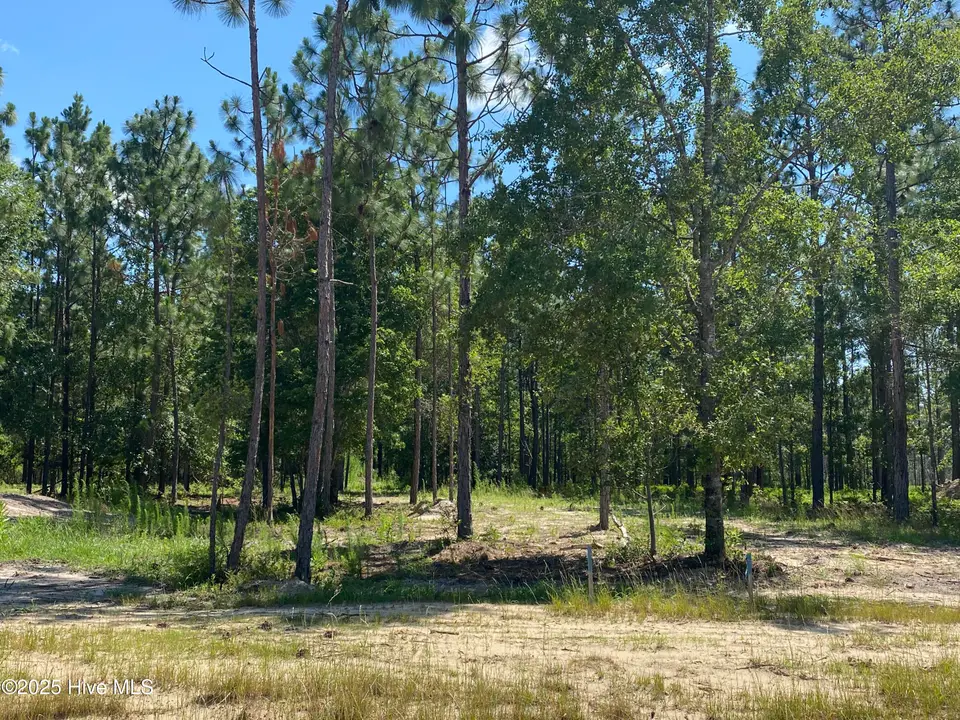8738 7 Compass Pointe West Wynd NE, Leland, NC 28451 — lot in Compass Pointe, Leland, NC, photo 1 of 12