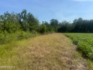 0 Bud Stephens Road, Evergreen, NC 28438 – photo 2: Pridgen 2