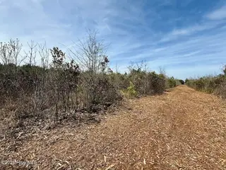 0 15 Guinea Mill Road, Ernul, NC 28527 – photo 24: IMG_1835