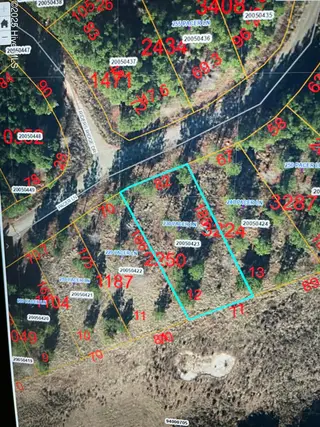 230 12 Pacer Lane, Carthage, NC 28327 – photo 1: 230 Pacer Land Lot