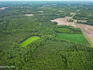 Tbd Farmers Union Road, Clarkton, NC 28433 – photo 5: ClarktonListing_MLS-4