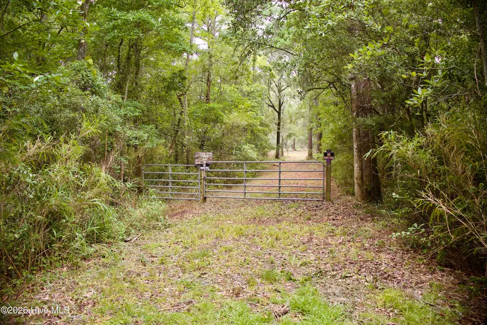 385 Sand Ridge Road, New Bern, NC 28560 – photo 1 of 40: IMG_4485