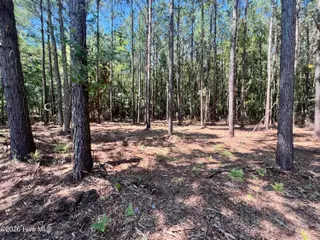 Lot 3 Elm Street, Belhaven, NC 27810 – photo 4: IMG_7292