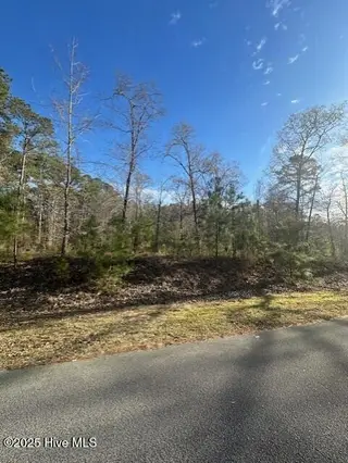 607 Pamlico River Drive, Washington, NC 27889 – photo 9: Lot 187 02