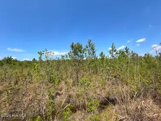 0 6 Guinea Mill Road, Ernul, NC 28527 – photo 19: 19