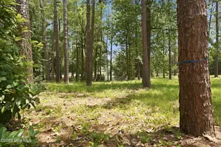 55 Apawamis Circle, Pinehurst, NC 28374 – photo 10: 15-web-or-mls-DSC04861