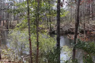 4507 Rivershore Drive, New Bern, NC 28560 – photo 8: view 3 of the pond
