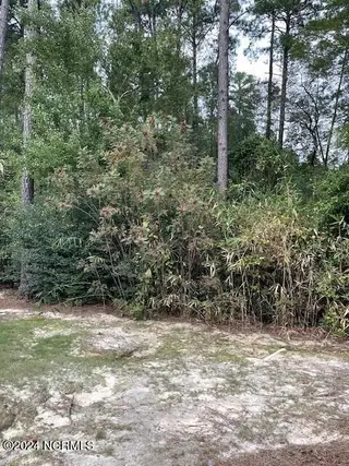5 62 Raintree Court, Pinehurst, NC 28374 — lot in Pinehurst No. 6, Pinehurst, NC, photo 2 of 4: Liberta 1