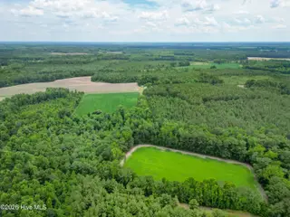 Tbd Farmers Union Road, Clarkton, NC 28433 – photo 12: ClarktonListing_MLS-2