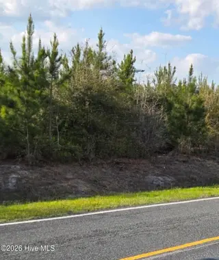 Near 731 4 Macedonia Church Road, Evergreen, NC 28438 – photo 1: land
