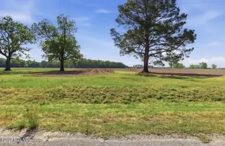 315 Flowers Road, Mount Olive, NC 28365 – photo 6: House removed from photo by AI