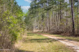 0 Nc-903, Stokes, NC 27884 – photo 15: Stokes Tract 22