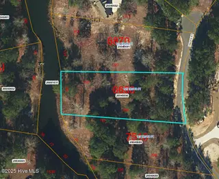 125 156 Troys Point, West End, NC 27376 – photo 2: GIS AERIAL