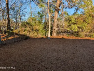 204 Shamrock Drive, Jacksonville, NC 28540 – photo 23: PXL_20260113_133234012