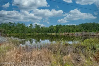 5004 Exton Park Loop, Castle Hayne, NC 28429 – photo 24: ExtonParkEdit-10