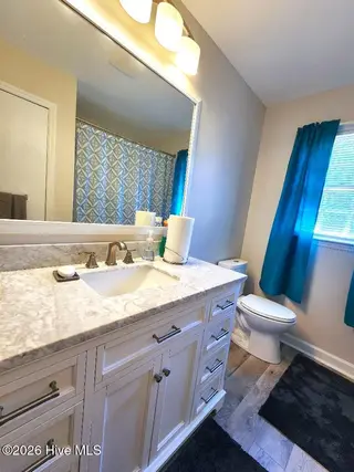 319 Oak Grove Avenue, Greenville, NC 27834 – photo 13: hallbath