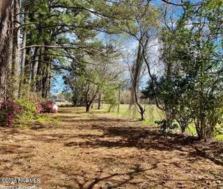 4803 Andrew Jackson Highway SW, Chadbourn, NC 28431 – photo 17: 20240808213604822509000000-o